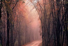 50岁丘索维金娜，世界杯分站赛夺冠！本人发声人民日报微信公众号.