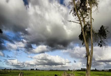 新春走基层｜冬训不停练 山东省游泳队冲刺十五运.