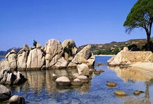 6686体育官网：[国际足球]德国杯第3轮：拜仁慕尼黑VS勒沃库森.